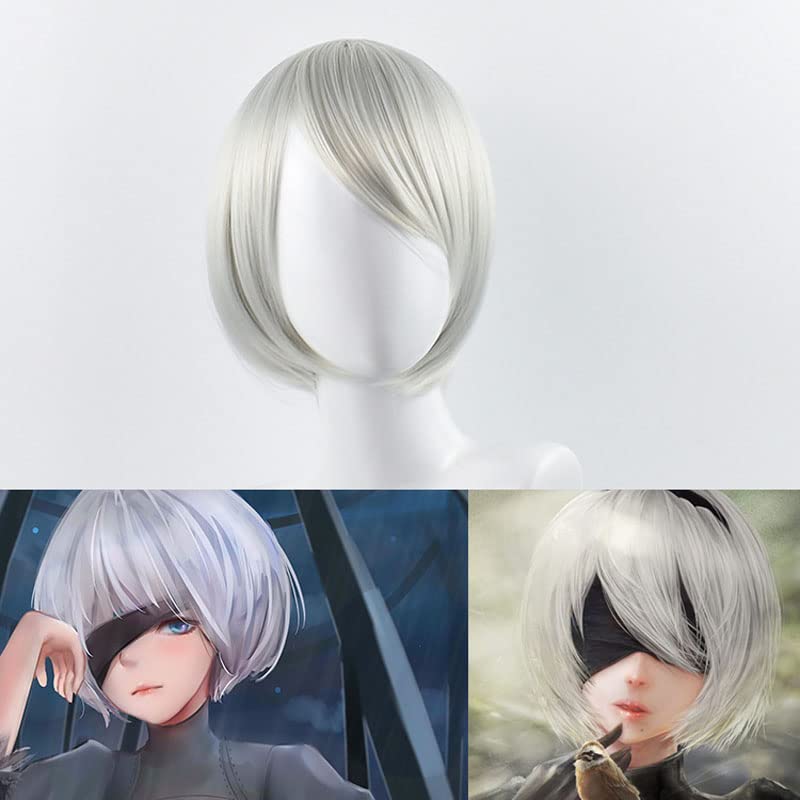 Short Sliver Cosplay Wigs for  - Men'S Accessories Types review and price